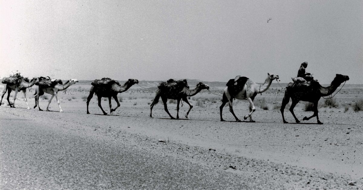 desert mali